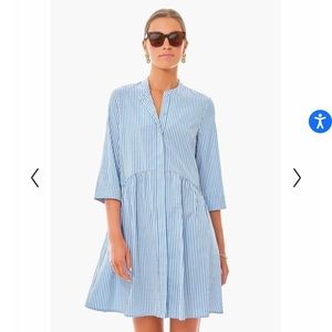 Tuckernuck Blue Stripe shirt dress L